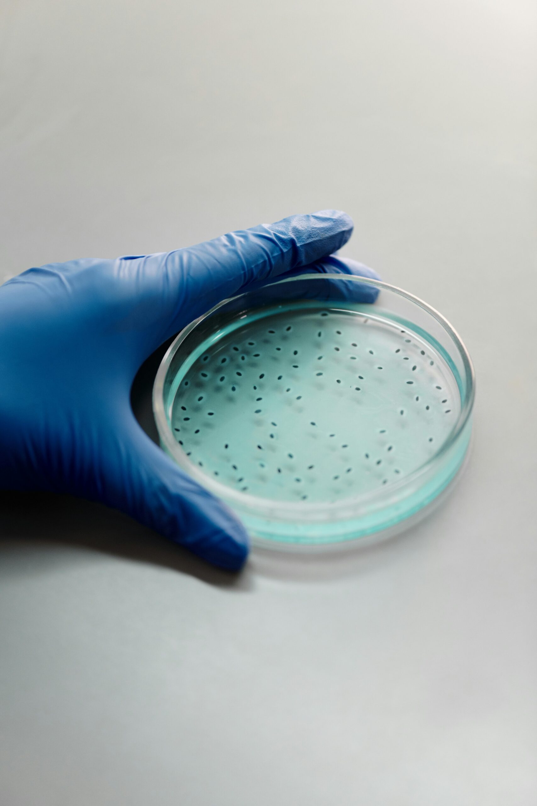 Epigenetische Hautpflege erklärt